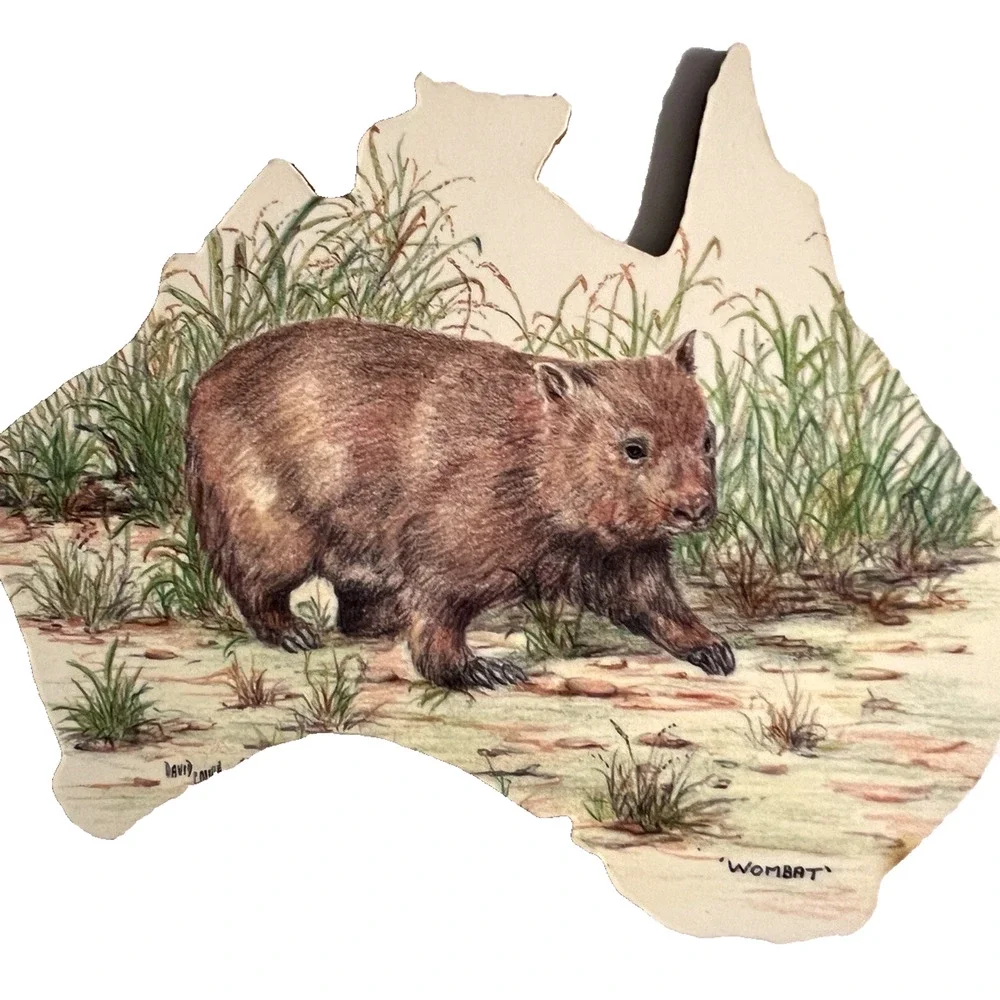 Set of 6 Wildlife Creations Cork Back Coasters Australia Animals - In Map Shape